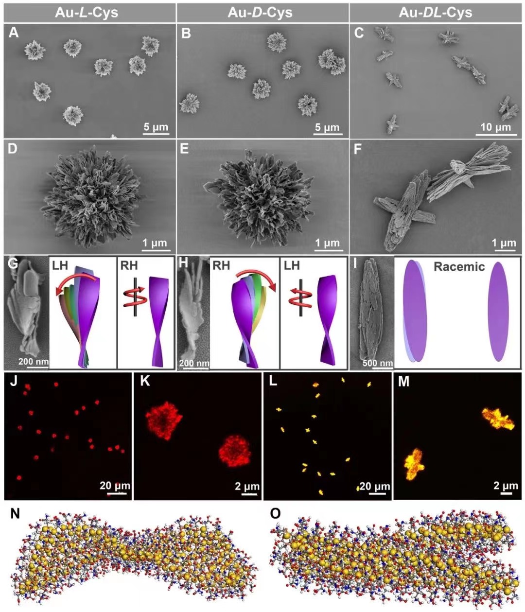 1634869472302153.jpg 01.jpg