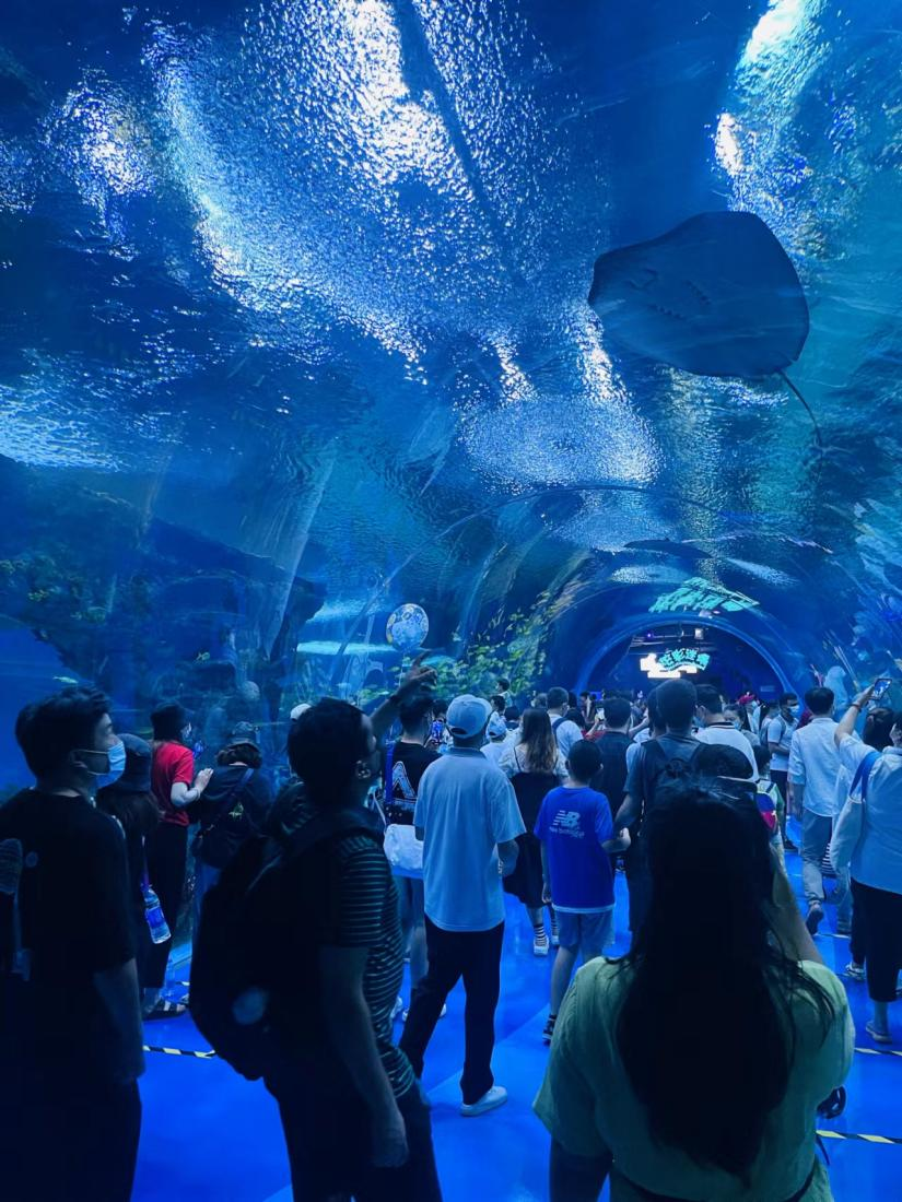 1702966616399655.png 图片3.png