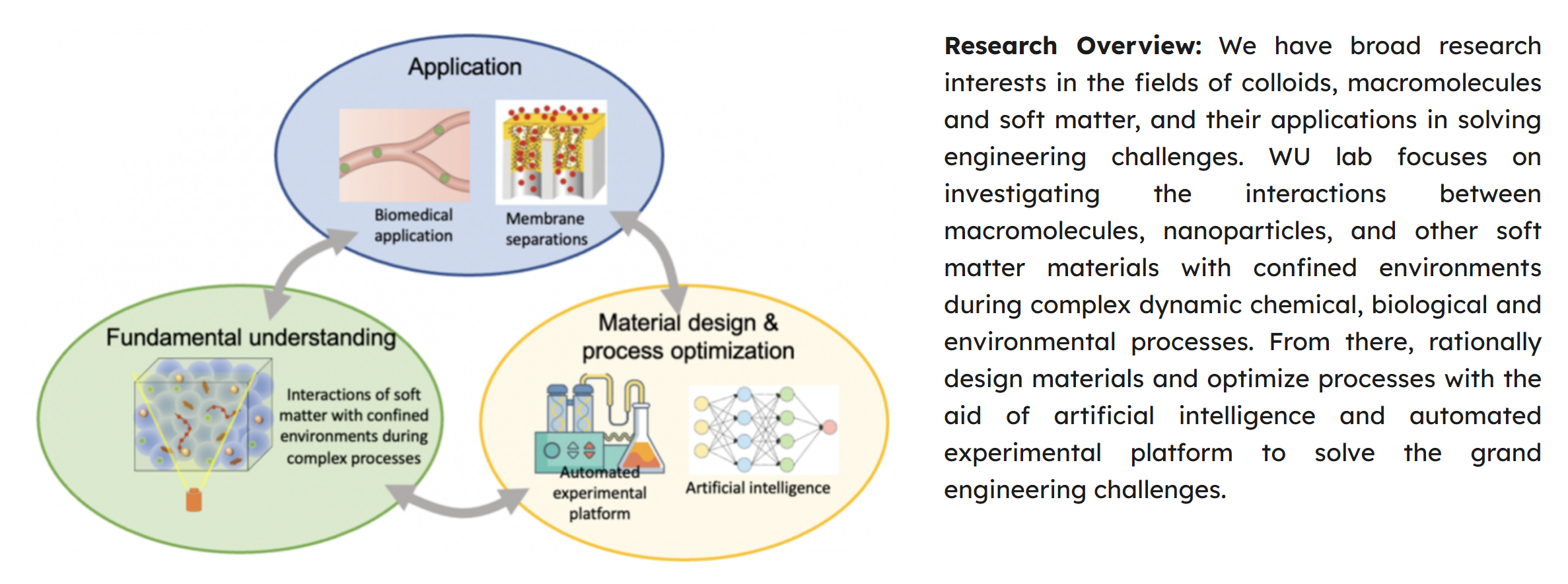 1764090202848524.png image.png