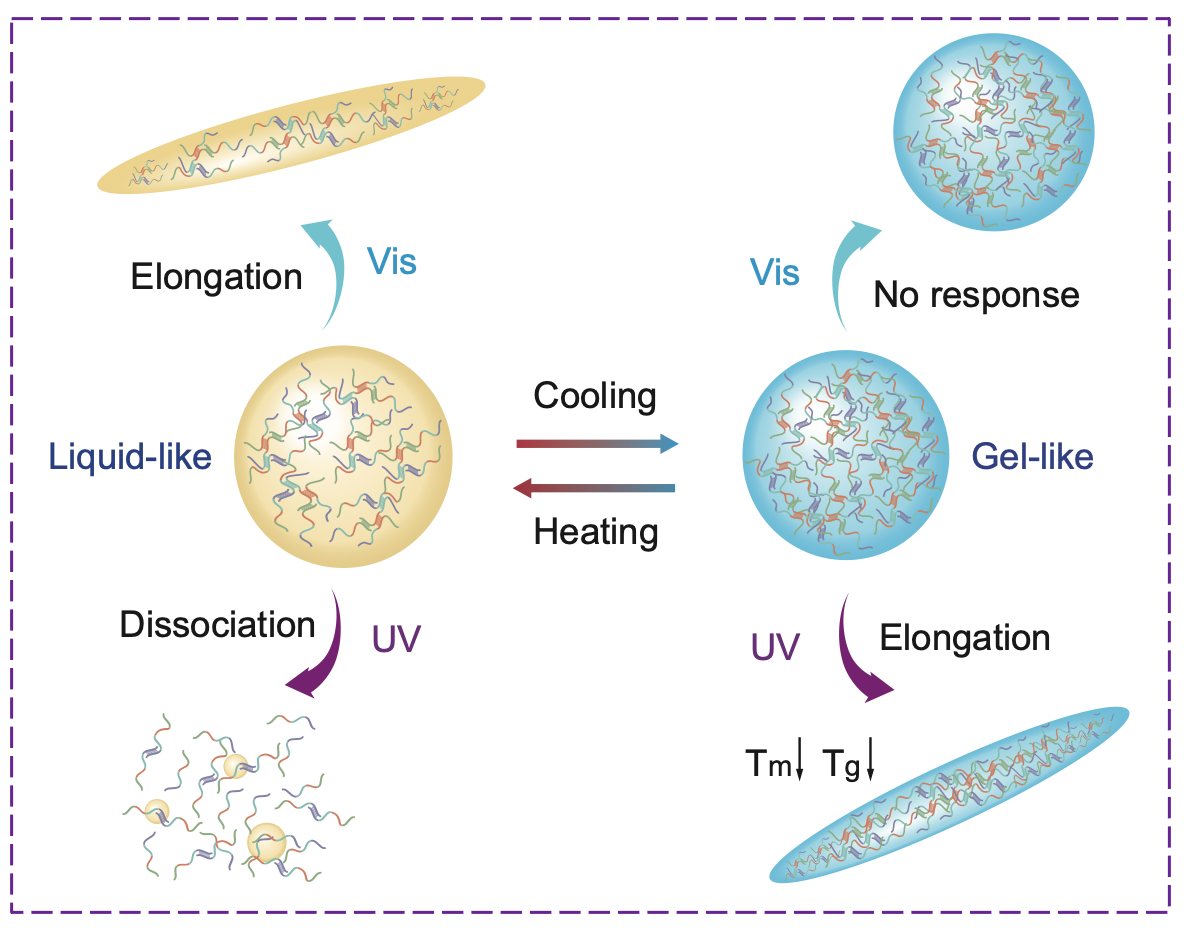 1764854472675977.png 1764854472675977.png