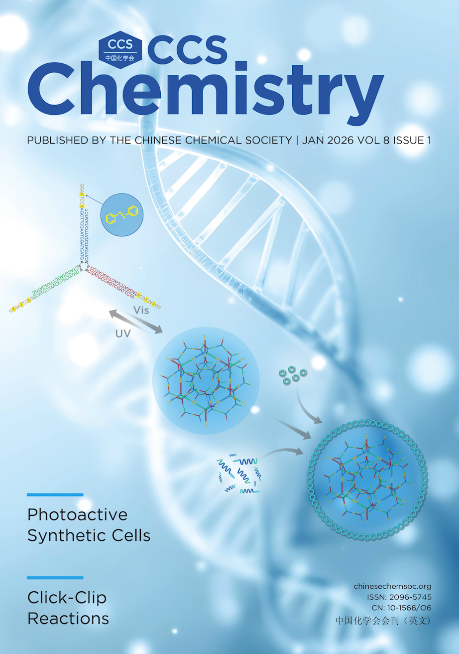 1767333798256826.png 1767333798256826.png